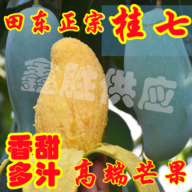 正宗广西田东桂七芒软糯香甜新鲜应季芒果整箱批发