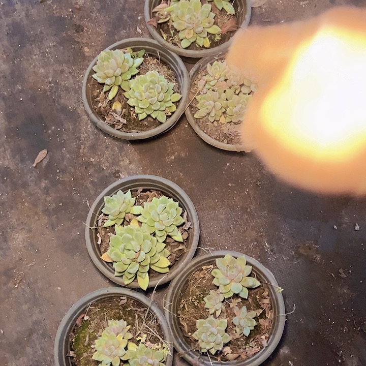 我不在这里吃饭的人太有