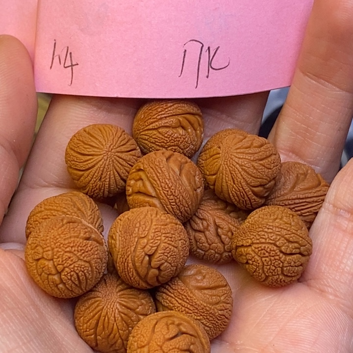 吊坠桃核秦岭龙纹桃核1