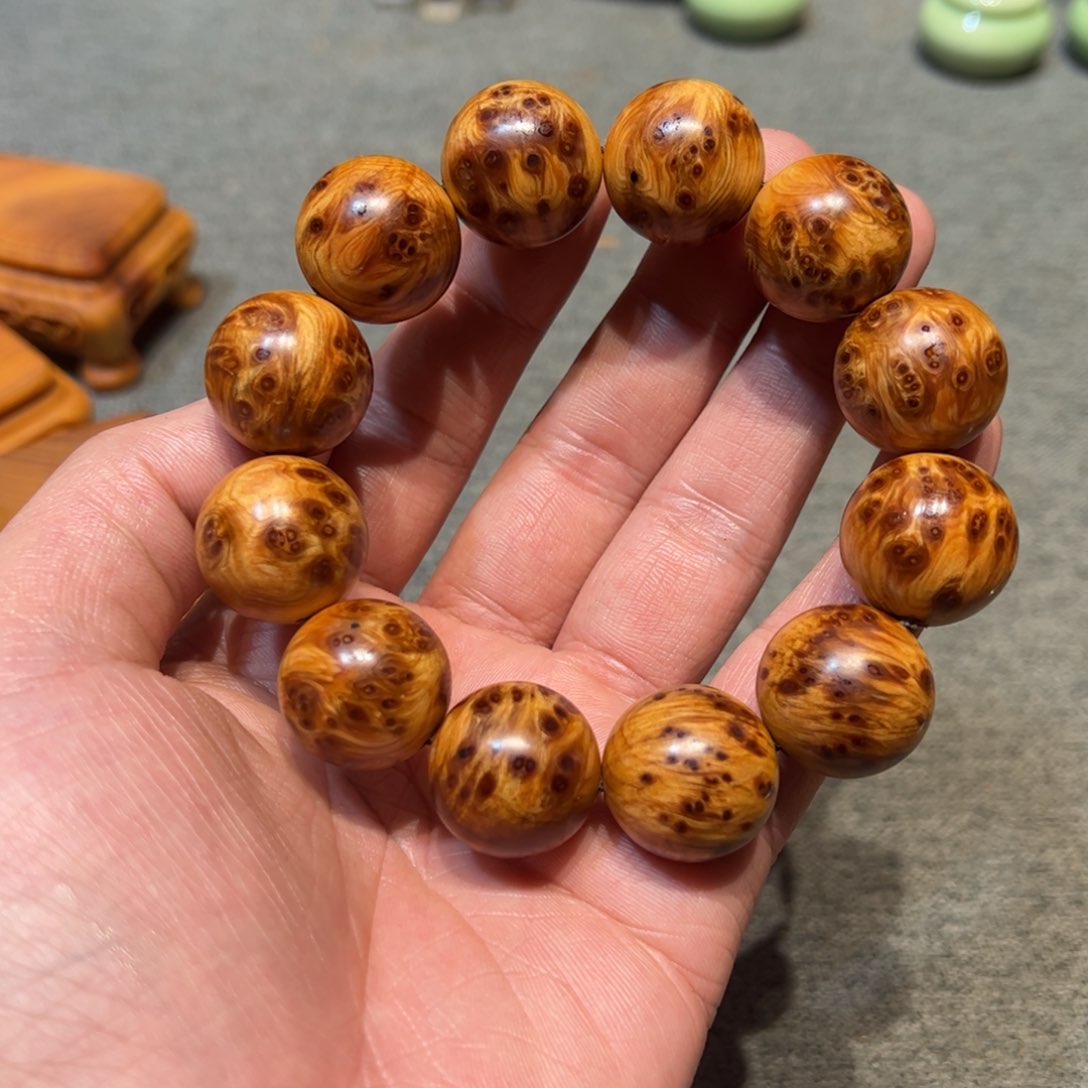 太行崖柏陈化太行