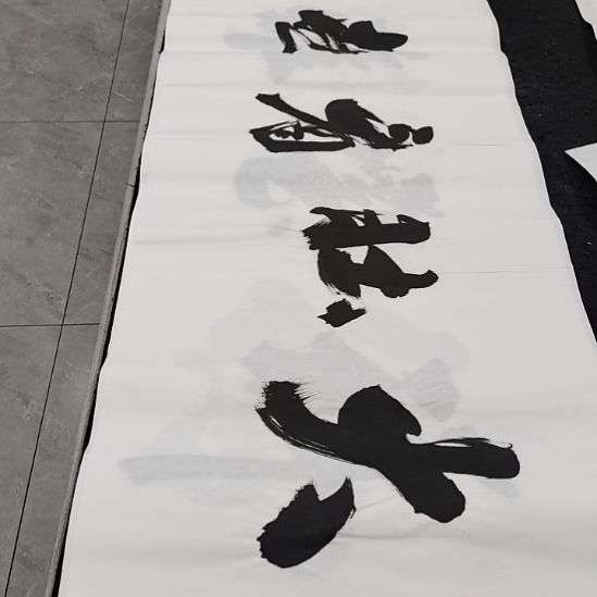翰墨申国栋老师作品一副