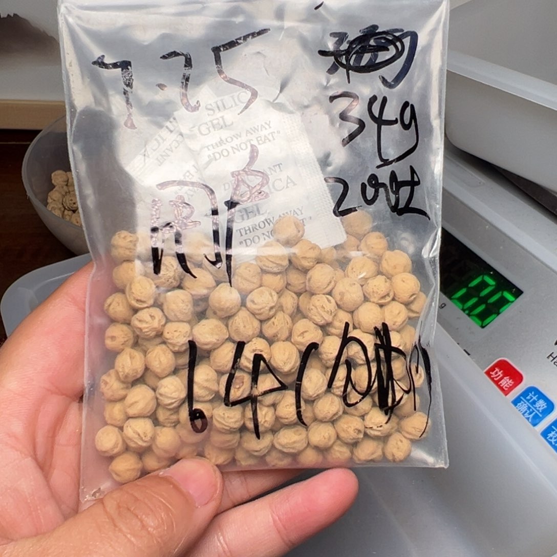 柏香籽/百香籽吊坠用****5