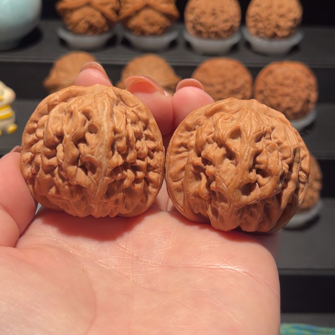 红锦鲤44精品，全品