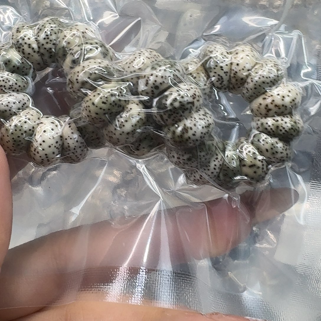 手串星月菩提66快乐13