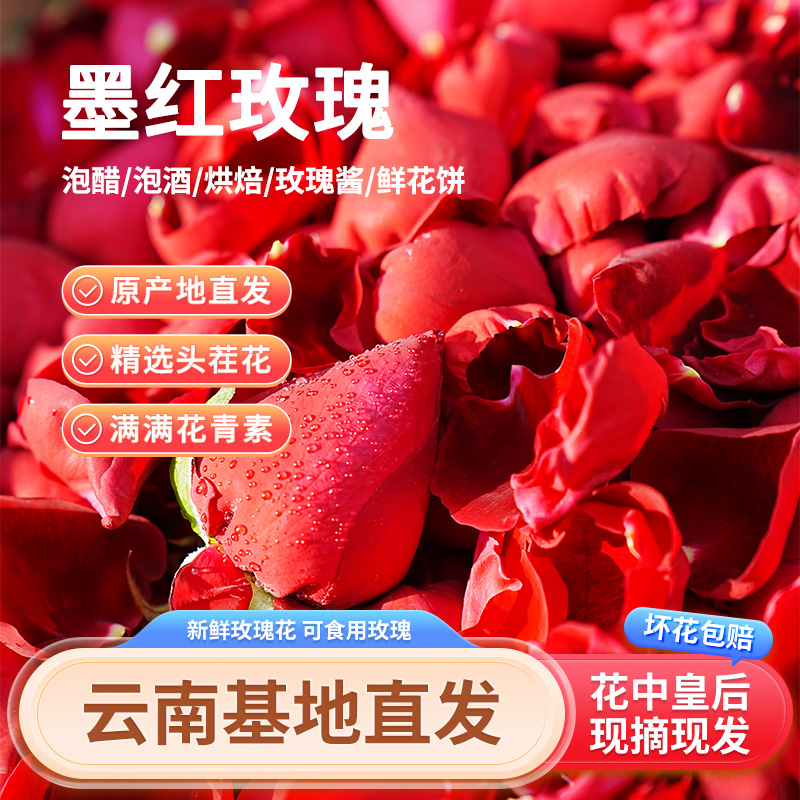 【高品质】云南新鲜玫瑰花墨红玫瑰泡玫瑰醋现摘现发玫瑰冠玫瑰骨朵