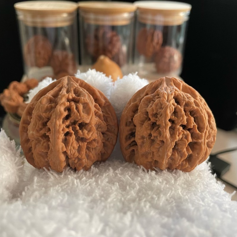 全品无修高桩大粗筋