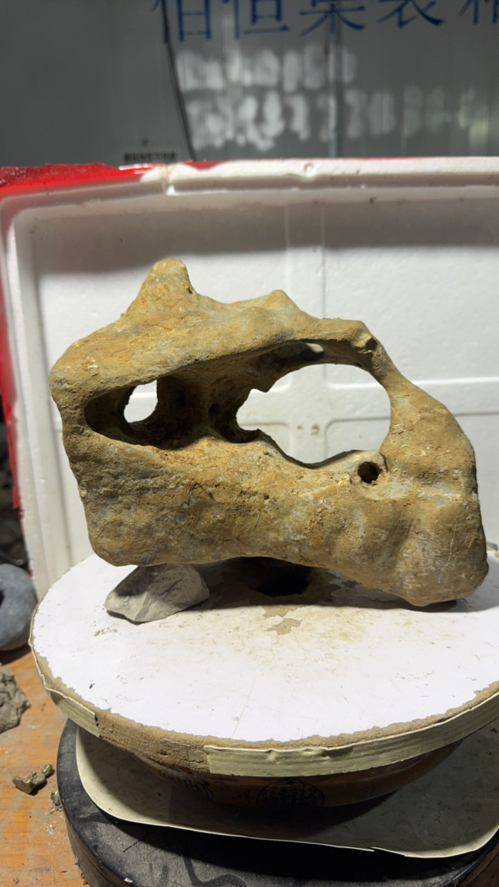 精品原石可作盆景，直播间一物一拍为准