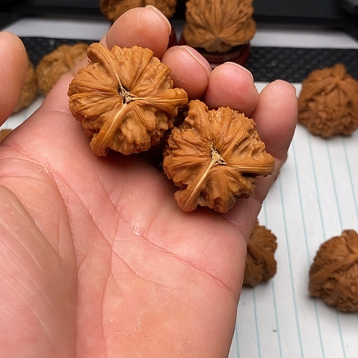 手串/手链核桃白狮子1