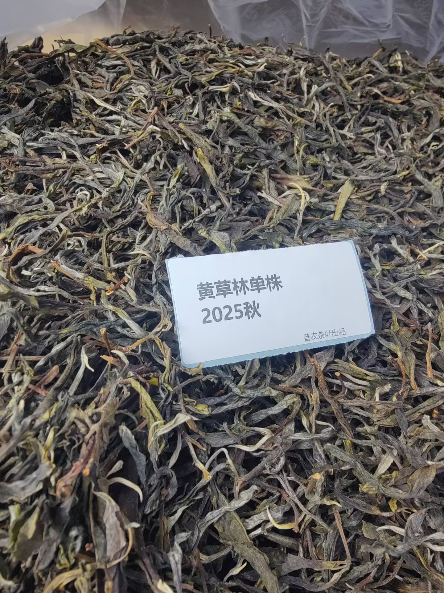 2025秋【黄草林单株】100克 普洱茶 散茶