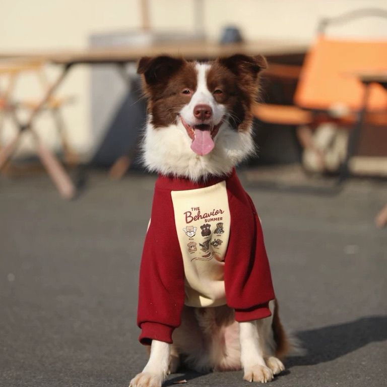 狗狗秋冬加绒保暖卫衣大型犬金毛拉布拉多边牧宠物衣服潮