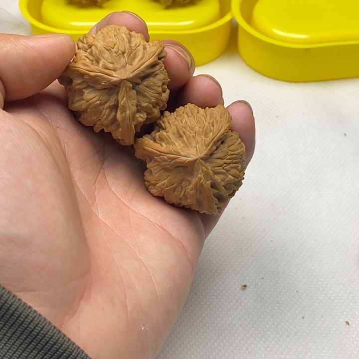 肉***芸无花朵哈哈哈哈哈哈哈哈哈