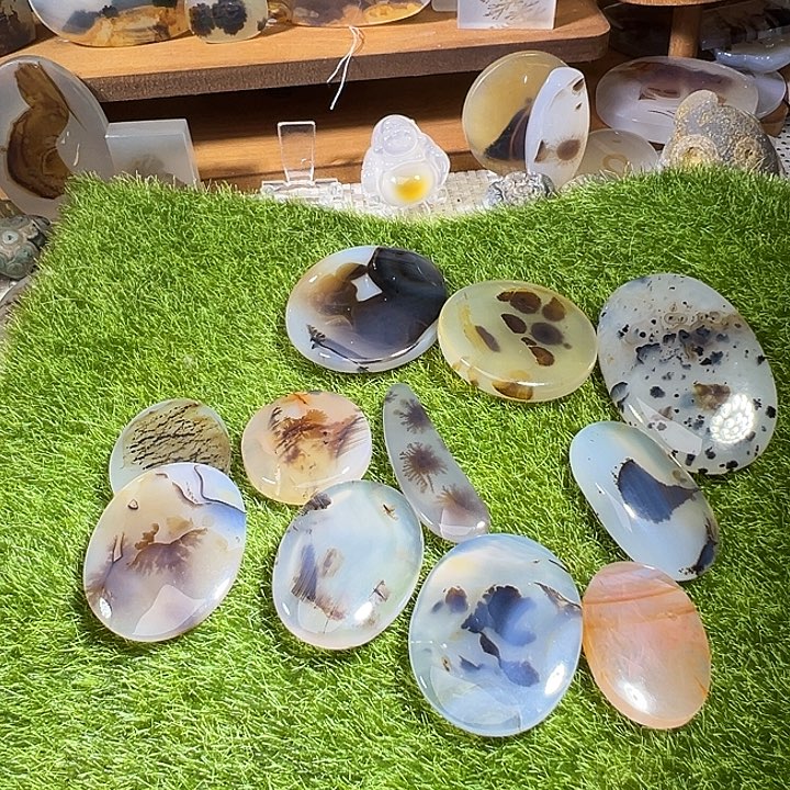 蚂***蚱玛瑙/玉髓未镶嵌颈饰