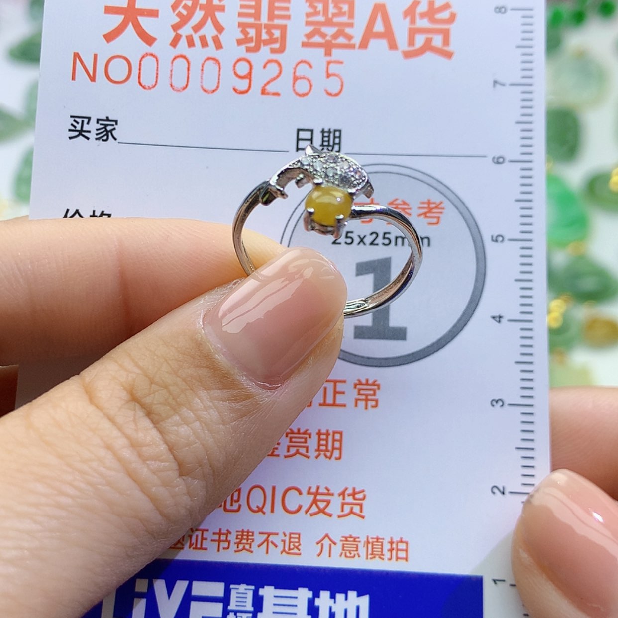 【闪购商品】翡翠颈饰未镶嵌颈饰7
