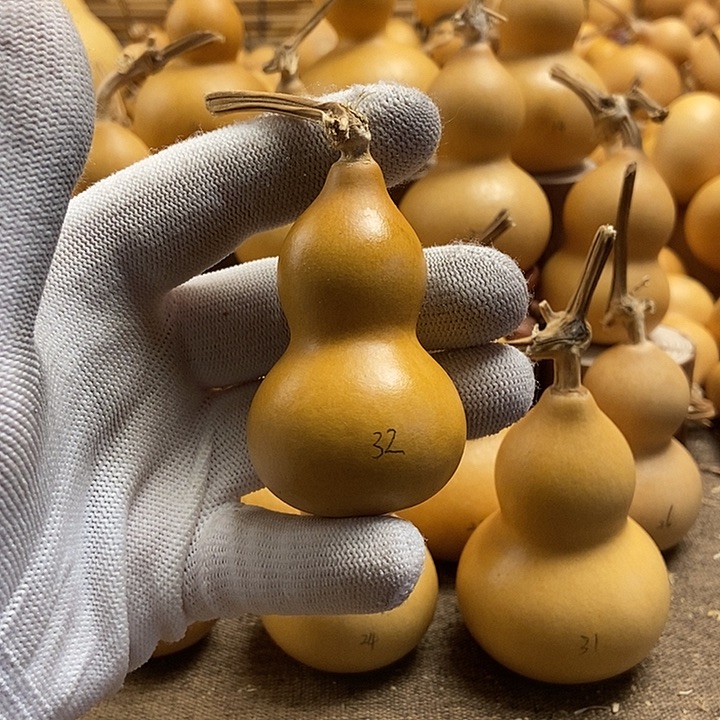 文玩葫芦 完美主义者 慎拍32