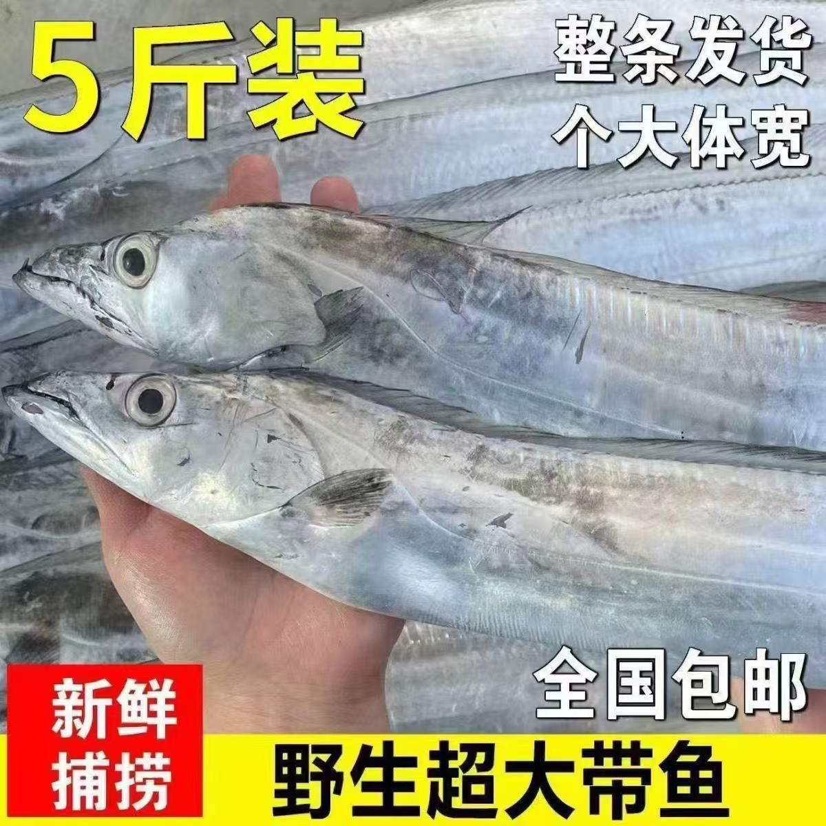 【大号】新鲜东海油带鱼肉质细嫩满口油香