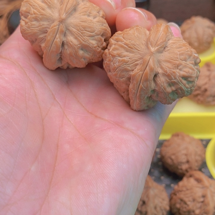 核桃手串/手链元宝狮子头40尺边差个尺