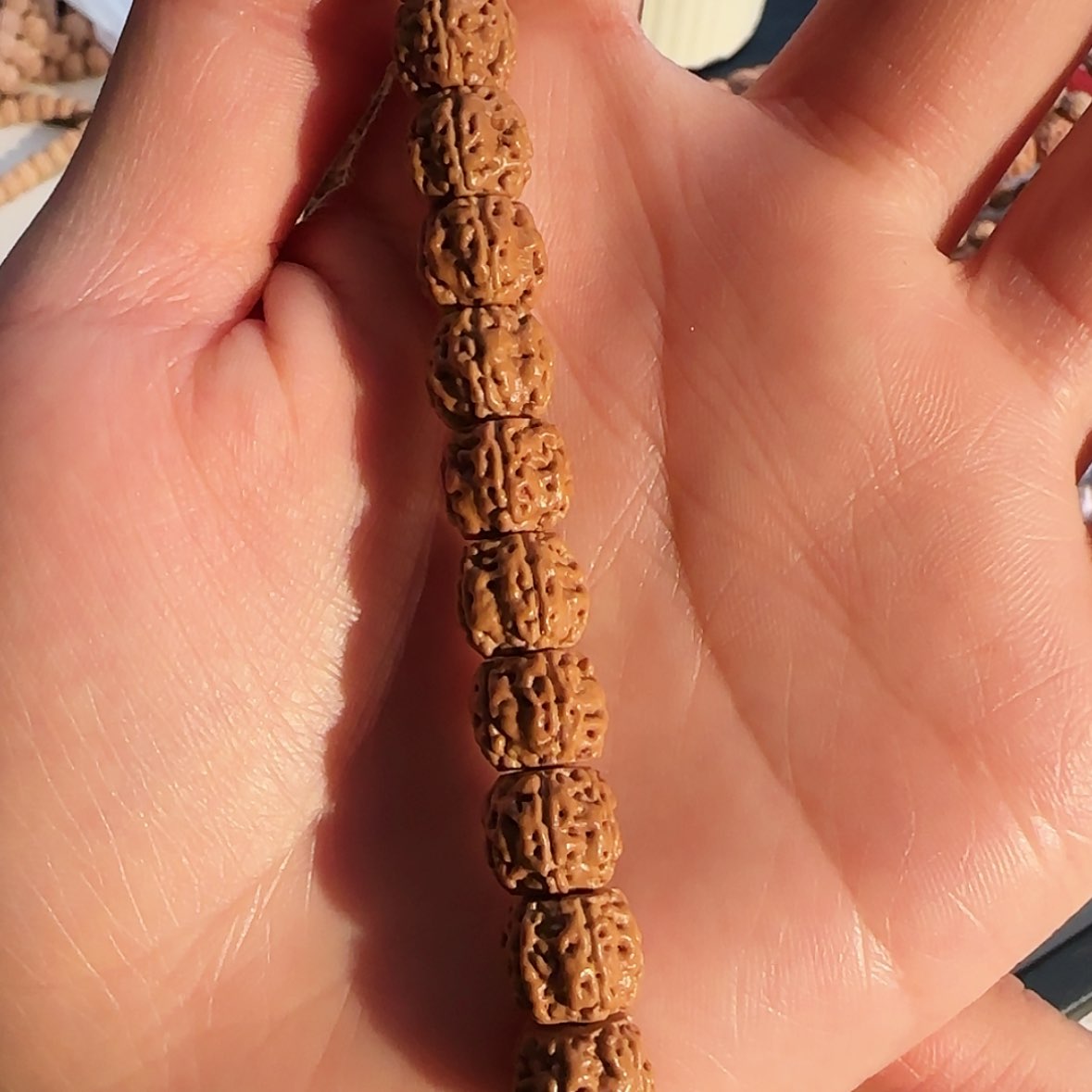 【闪购商品】吊坠金刚菩提定制级纯血一代盘龙9.9x8.9仅此一条