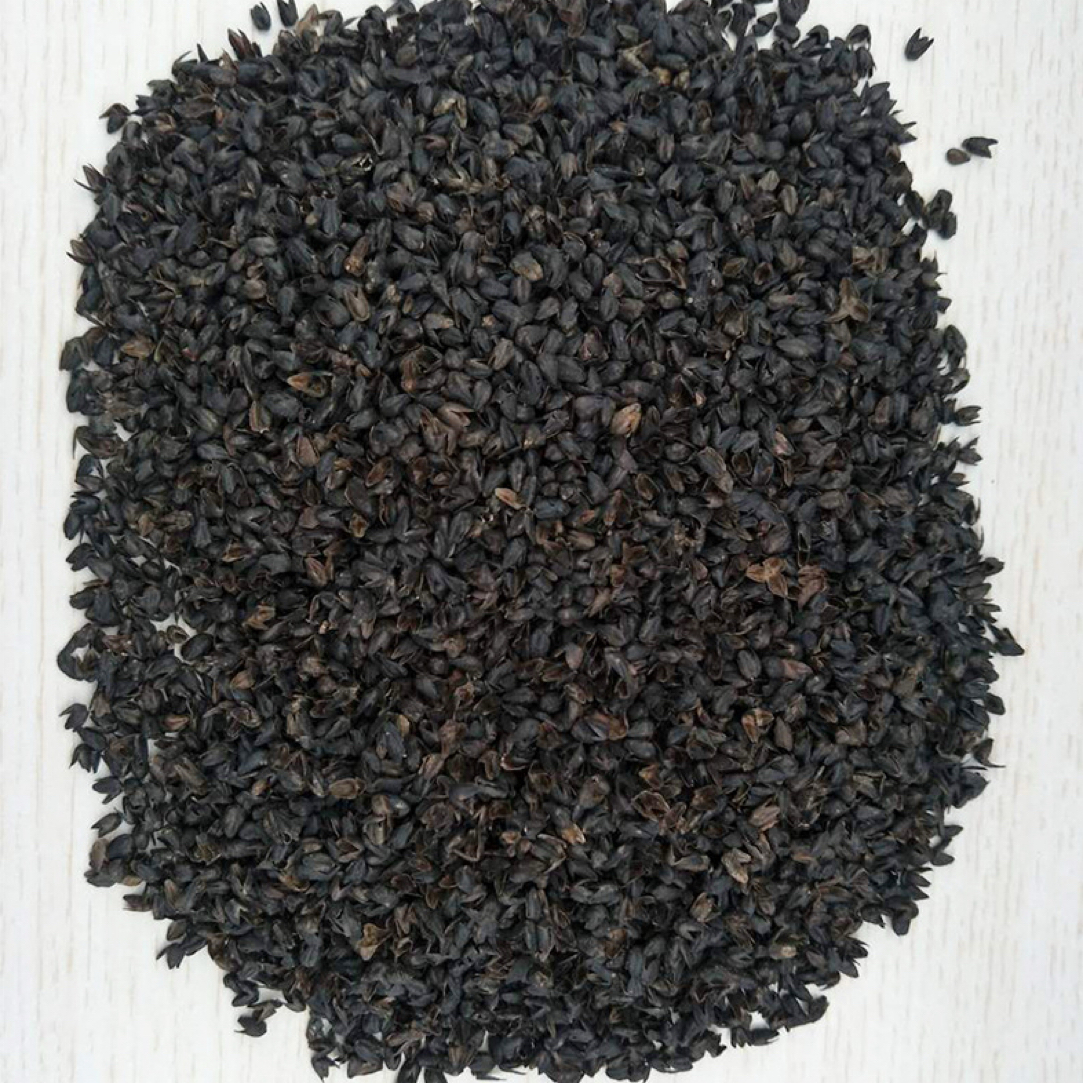 大凉山黑苦荞麦壳