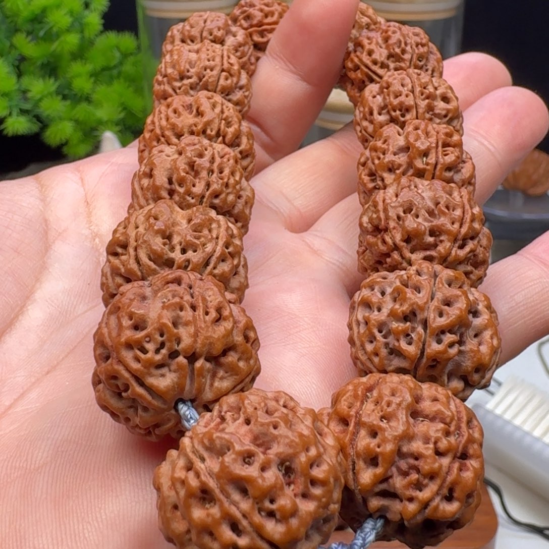 金刚菩提手串粗筋梅花双龙