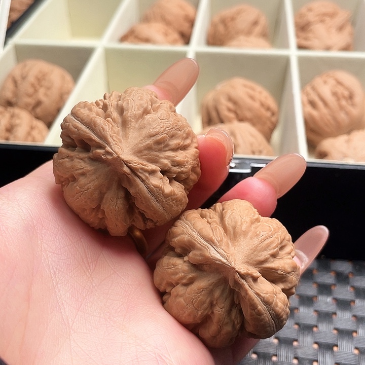 上***️霸王龙核桃尺寸39