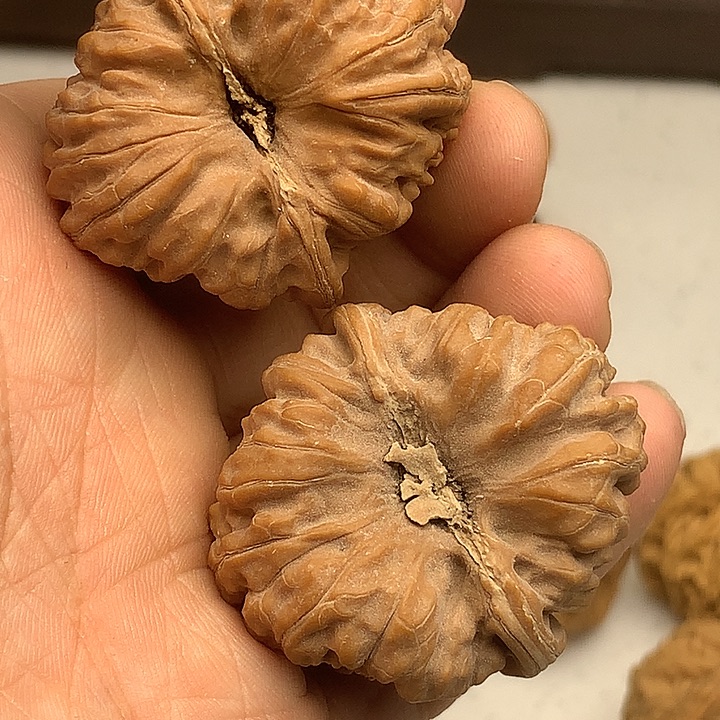 9***父吊坠文玩核桃41凹底