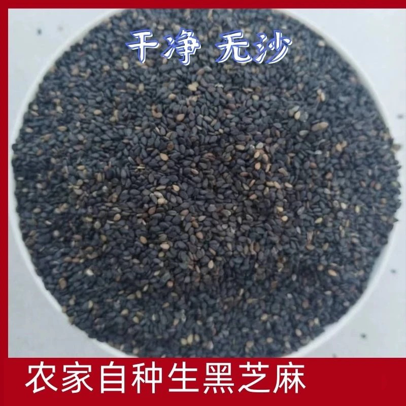 四川广安农家自种芝麻干净无沙