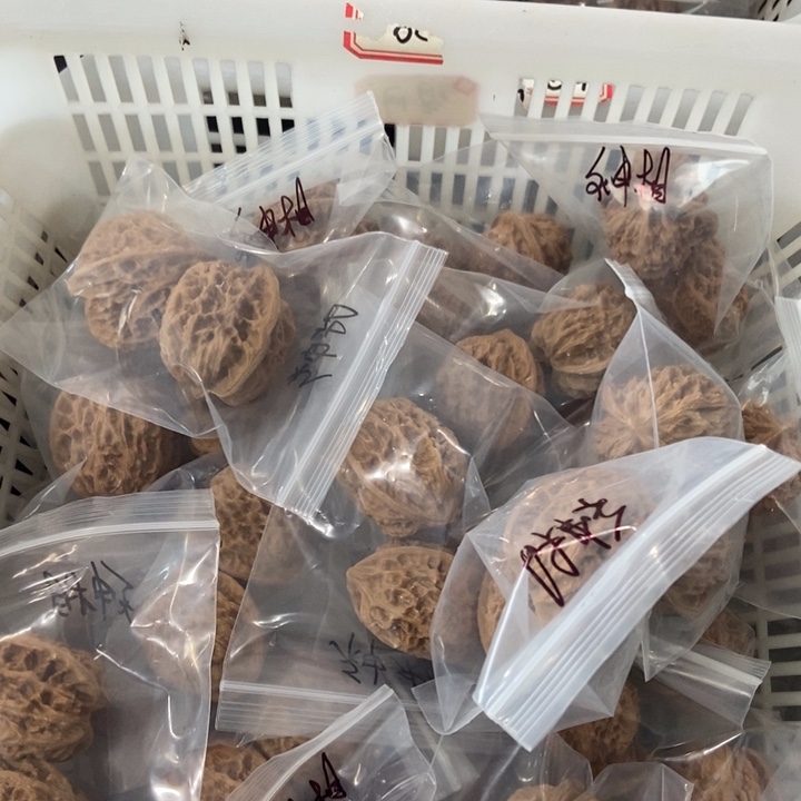 吊坠文玩核桃神相微瑕