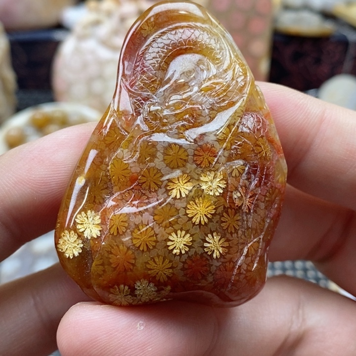 硅化珊瑚（珊瑚玉）颈饰未镶嵌