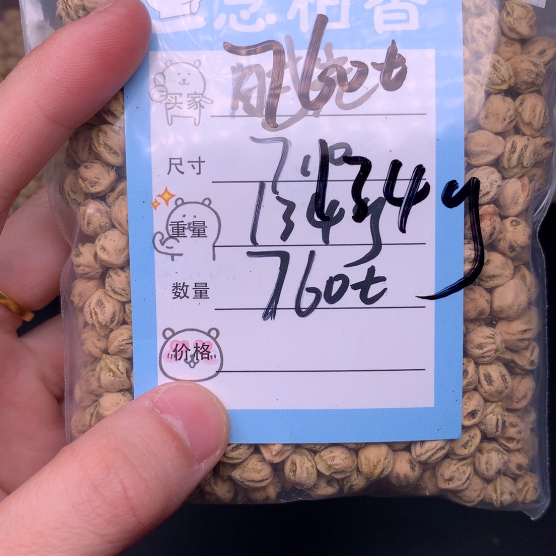 时***待柏香籽/百香籽吊坠