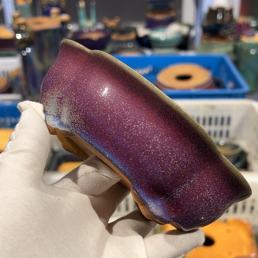 碗觉象原创作品欣赏