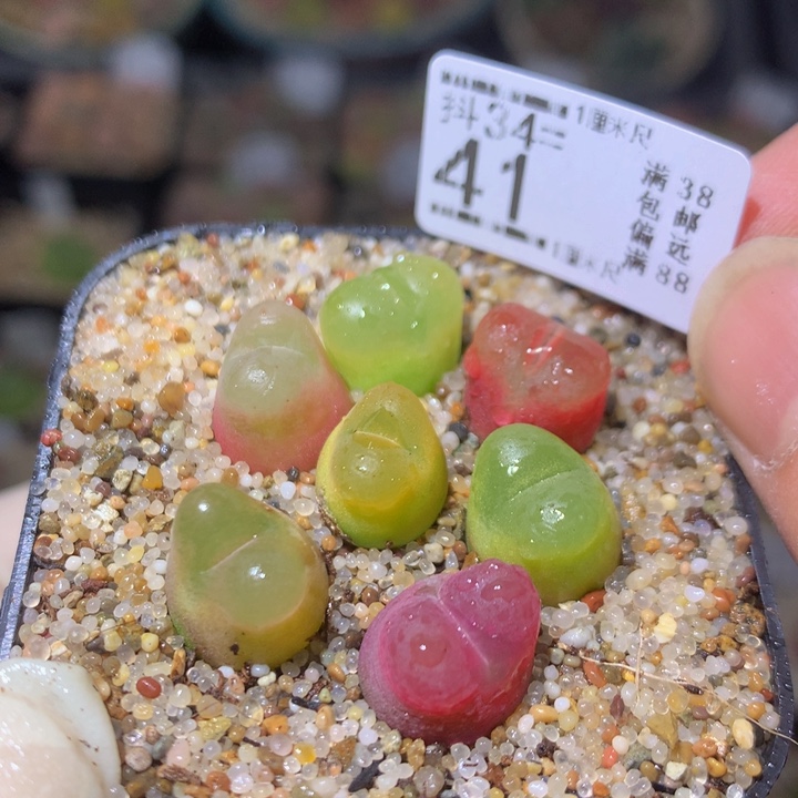 开播福利多多34.41