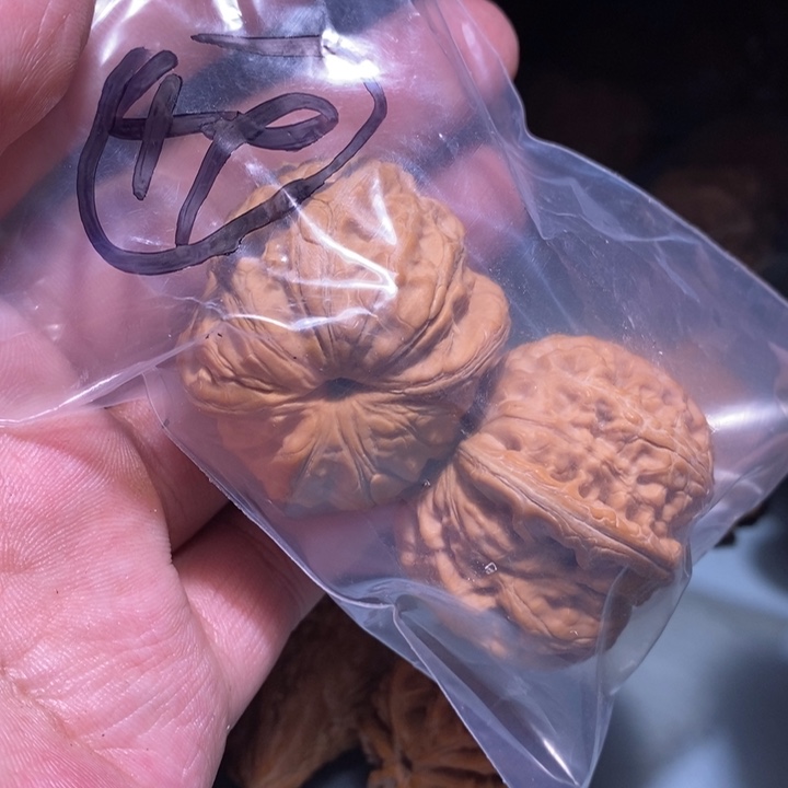 文玩核桃把件49的的时候