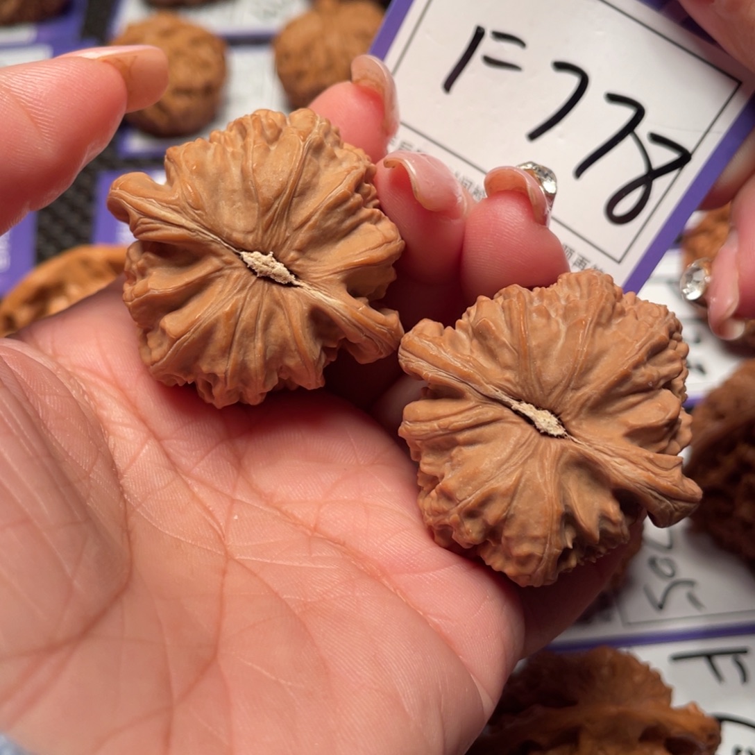 桃核把件778号白狮子40