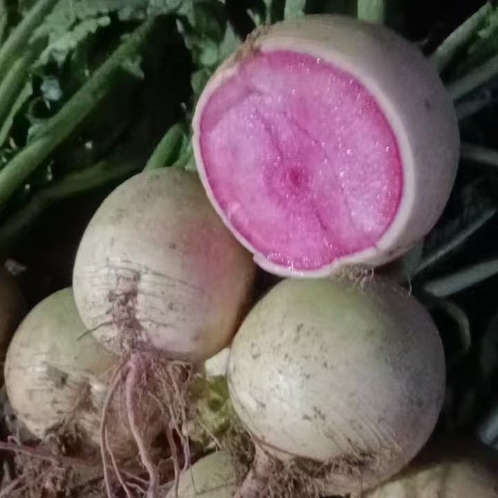 心里美3斤生态农场蔬菜