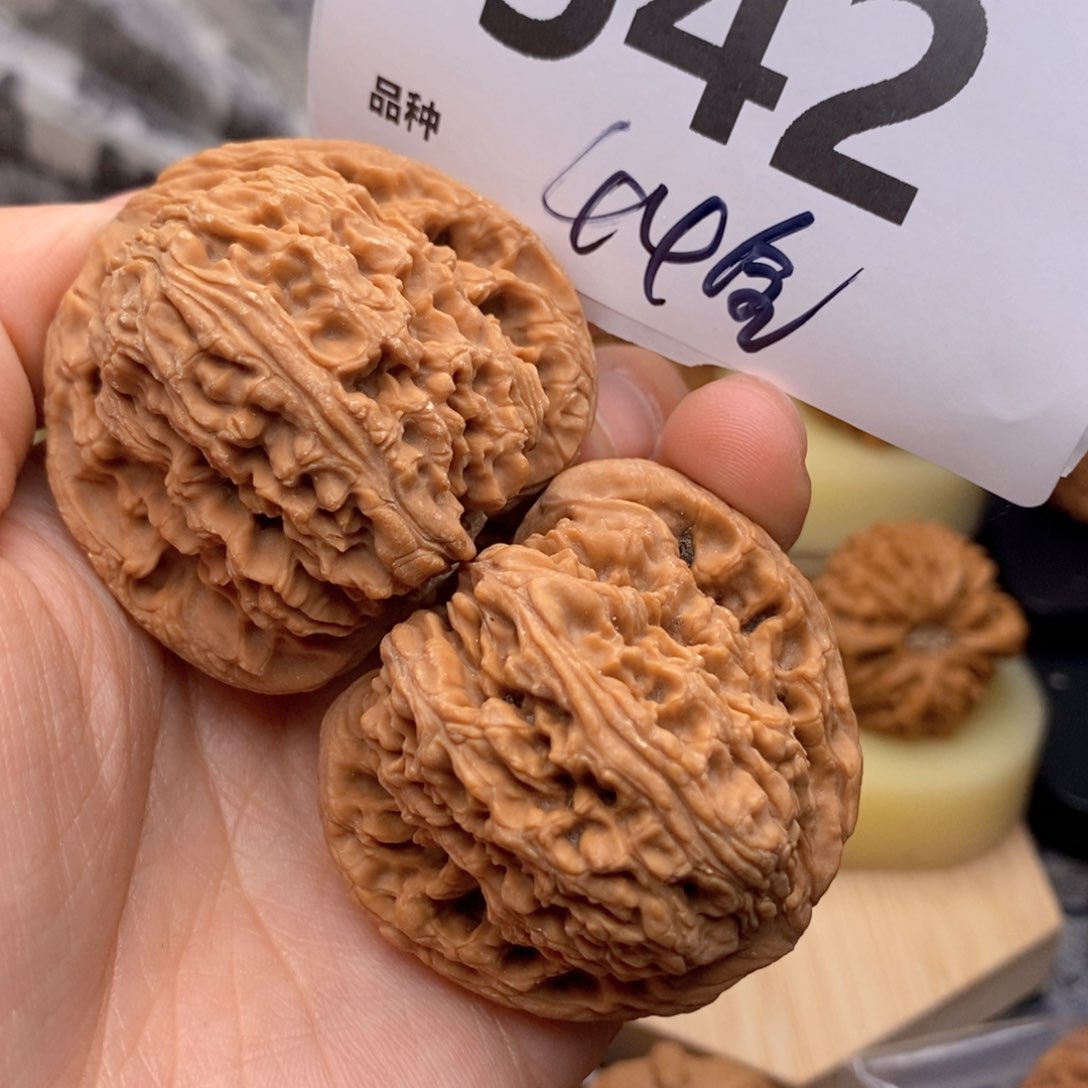 文玩核桃把件542号44全南疆