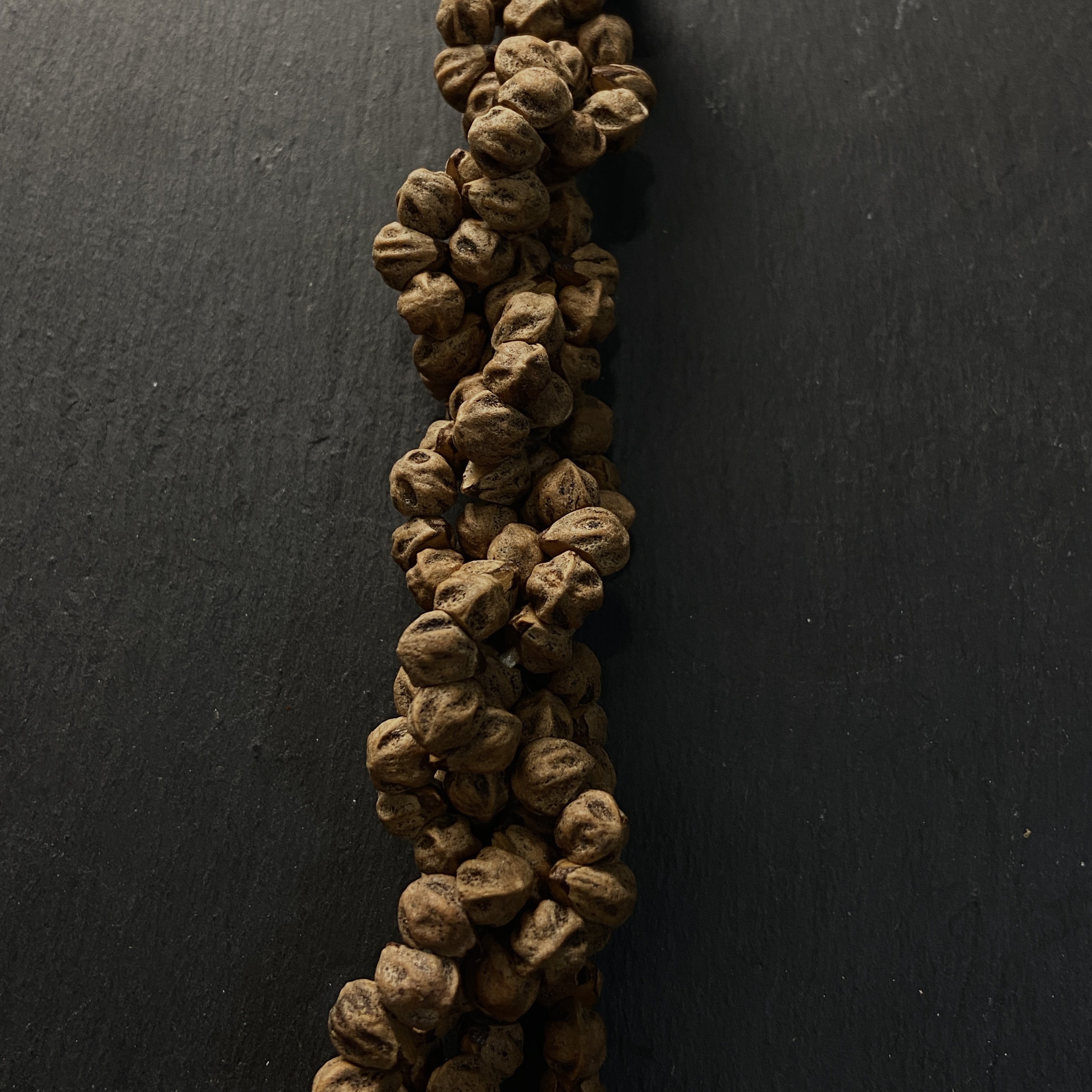 ［棘芒］3.0热振百香籽侧切红牙高油密大肠手串