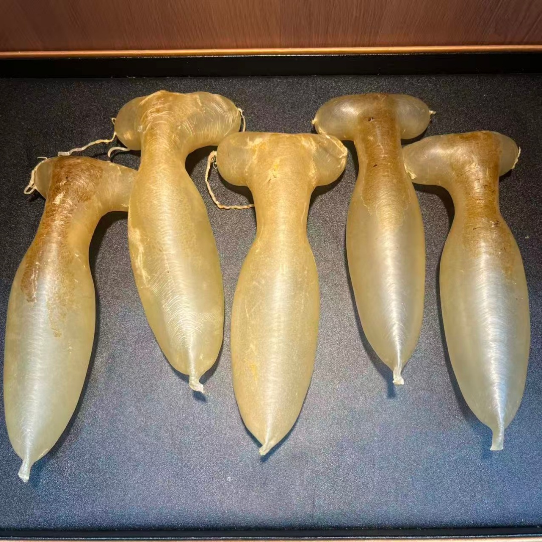 品质马蛛公胶大规格陈年鱼胶食用送礼蜘蛛胶马来蜘蛛