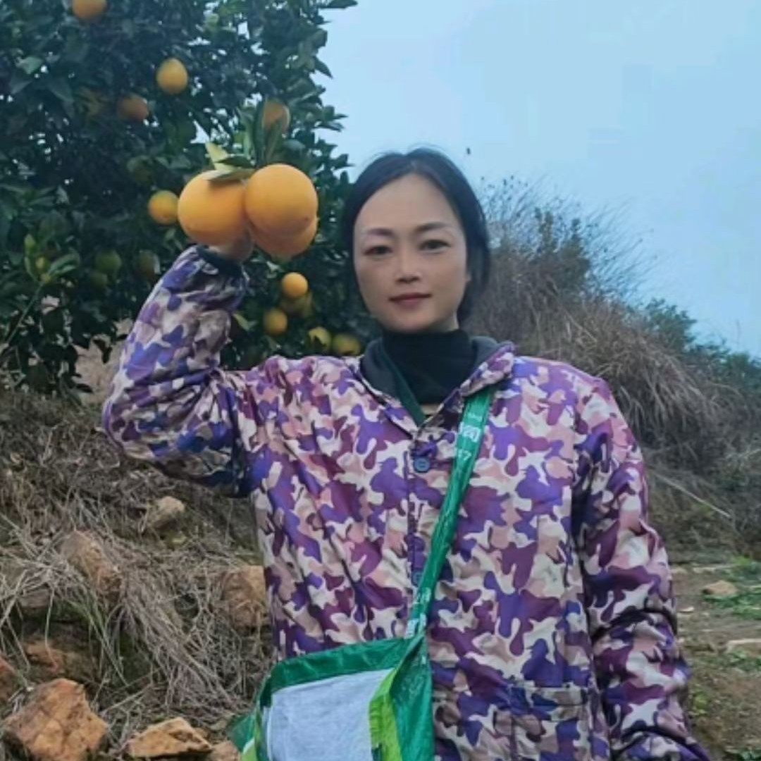 江西赣南脐橙现摘现发带箱20斤大果个别大皮厚一点 (果径95-100)