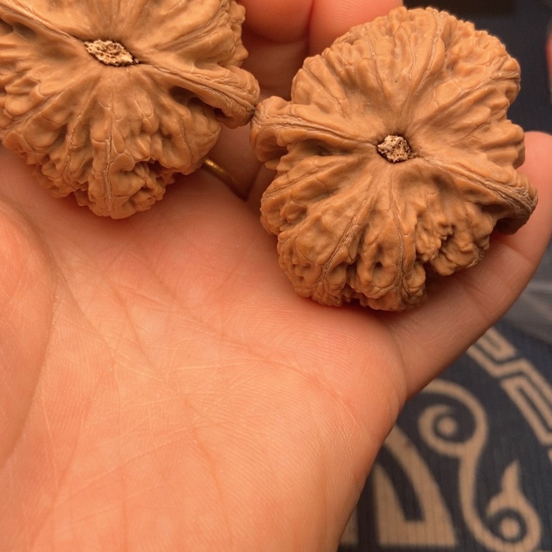 文玩核桃吊坠不****名44粗筋