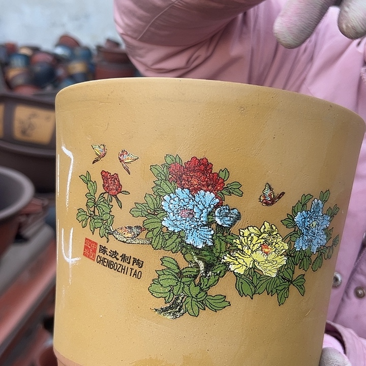 花开富贵小一个花盆花盆花盆