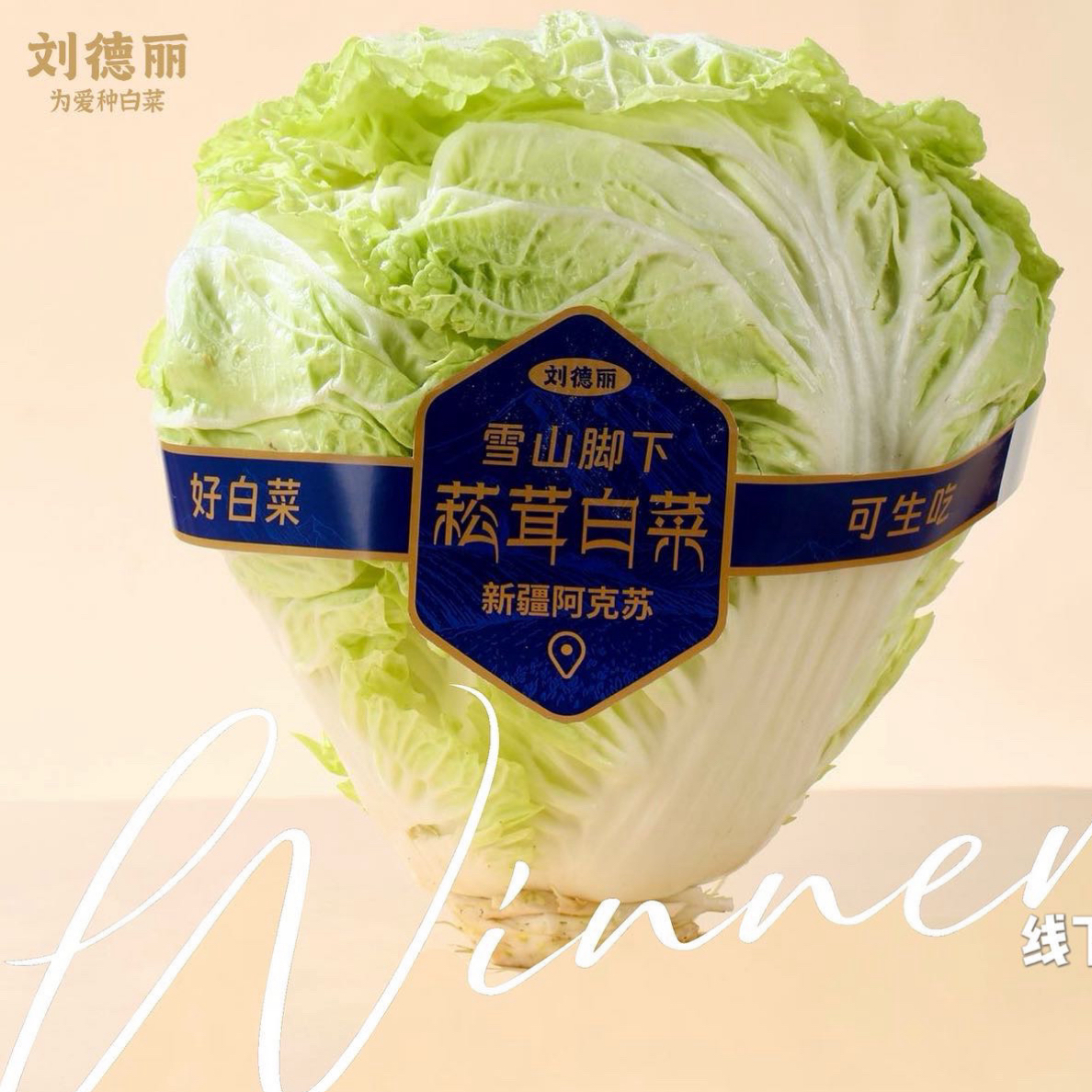 新疆菘茸白菜0农残山雪水灌溉鲜甜可口