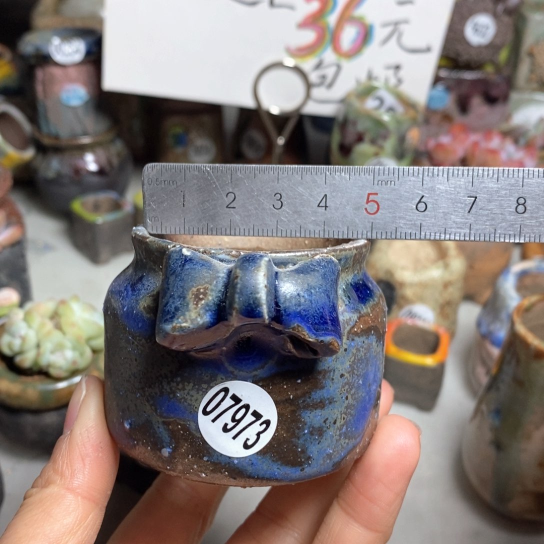 花盆拍5送一个小礼物