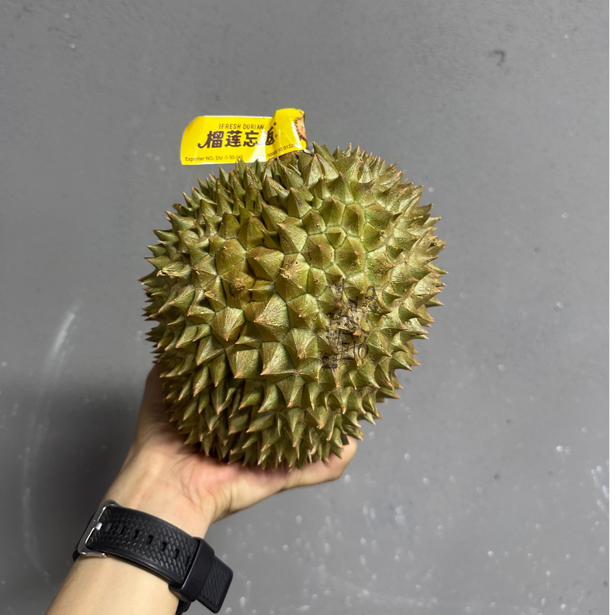 雅拉【规格链接】泰国空运金枕头 B果 榴莲 香甜软糯