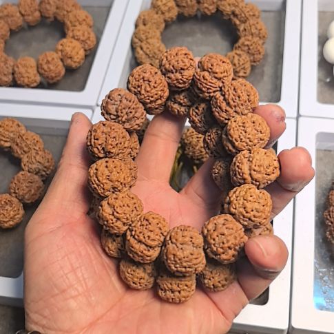 金刚菩提手串五星梅花大金刚手串，22左右尺寸，原皮原色