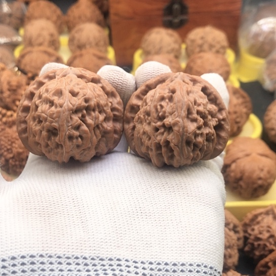 核桃把件44白狮子头