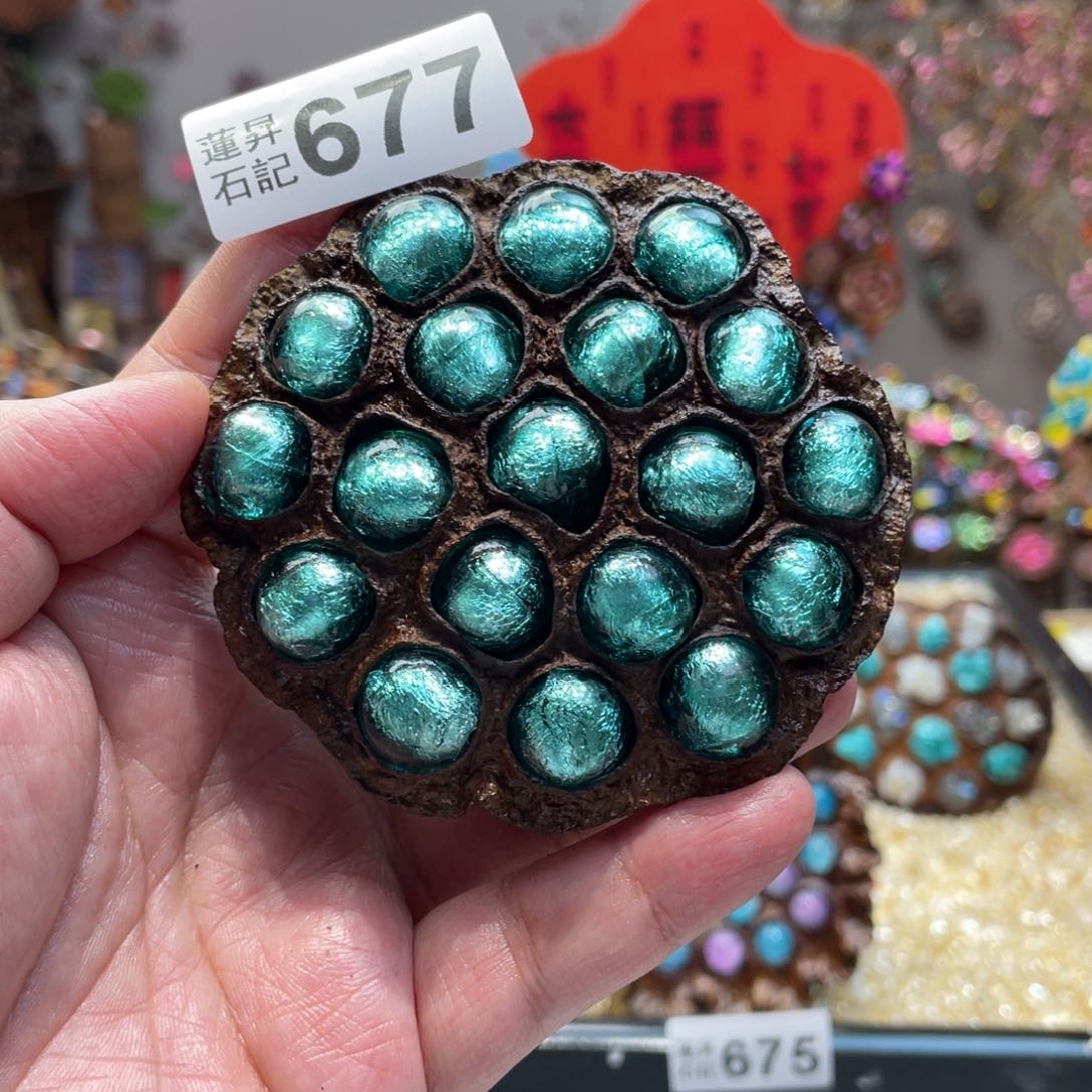 核桃木/黑胡桃（胡桃木）677