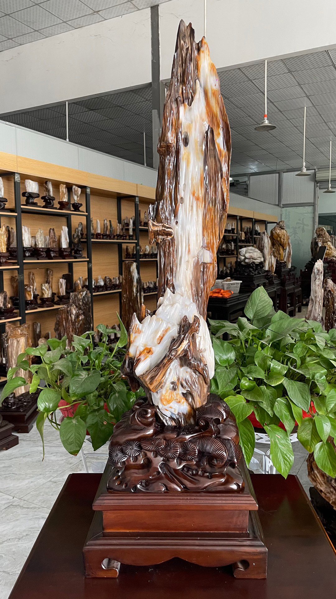 缅甸树化玉纯天然硅化玉摆件连底座总高102净高82宽21厚17重38斤