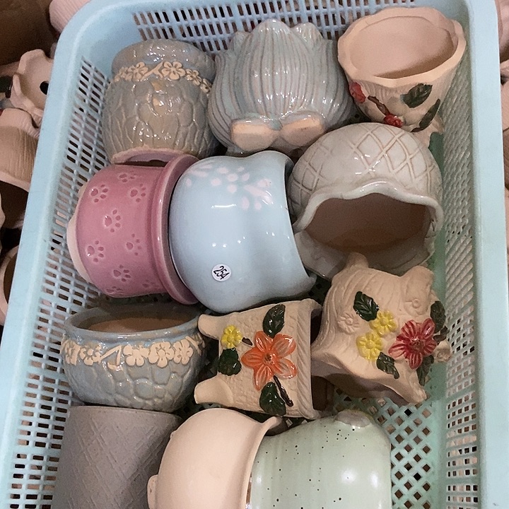 花盆单场满9.9发货瑕疵捡漏十二个254