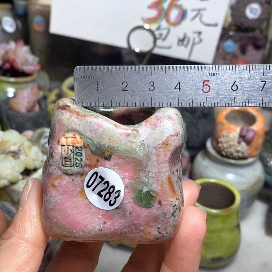 花盆拍3送一个小礼物