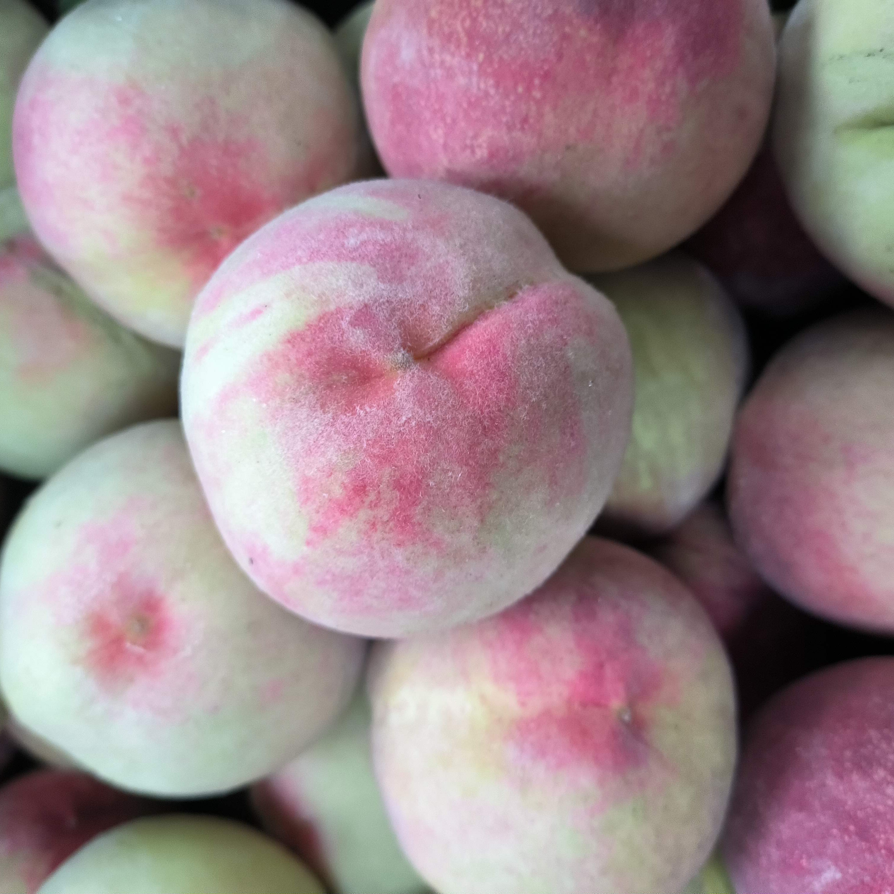 云南农家现摘水蜜桃孕妇水果包邮软硬两吃应季水果